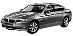 BMW F10 P000C Fault Code